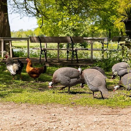 Kasteel Sterkenburg Driebergen Dış mekan fotoğraf